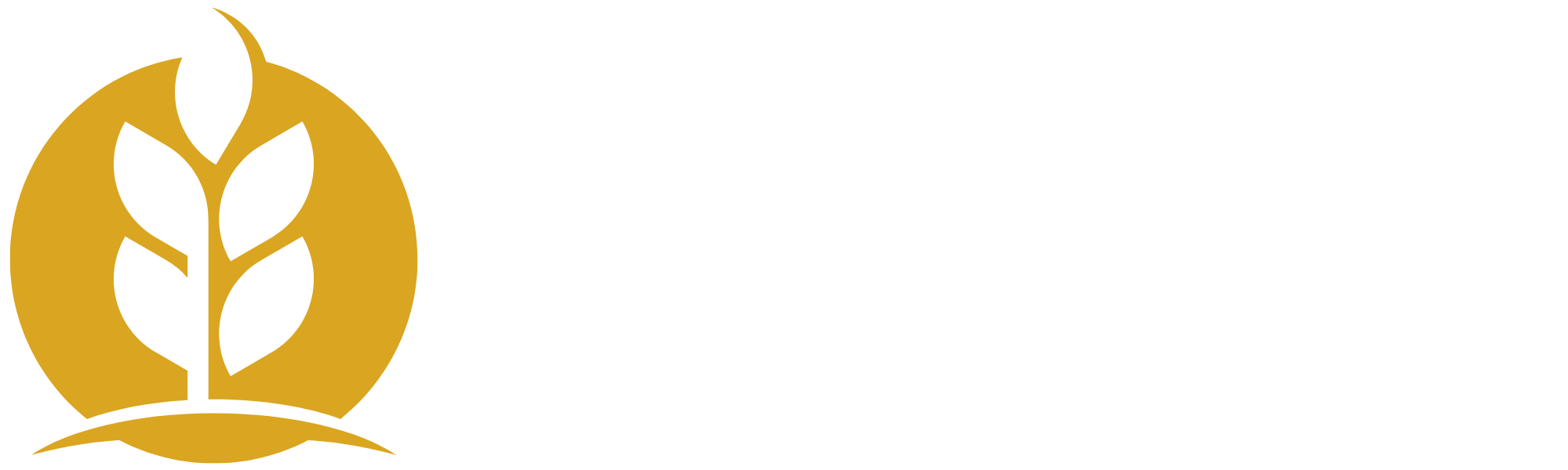 Neovila